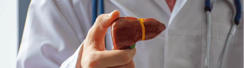 Medivisionoftampainc